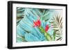 Tropical Mixing-Aimee Wilson-Framed Art Print