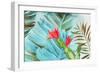 Tropical Mixing-Aimee Wilson-Framed Art Print