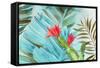 Tropical Mixing-Aimee Wilson-Framed Stretched Canvas