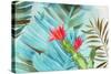 Tropical Mixing-Aimee Wilson-Stretched Canvas