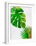 Tropical Monstera-Jasmine Woods-Framed Art Print