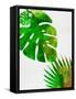 Tropical Monstera-Jasmine Woods-Framed Stretched Canvas