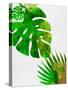 Tropical Monstera-Jasmine Woods-Stretched Canvas