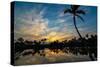 Tropical Morning-Jennifer Krajsek-Stretched Canvas