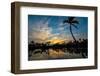 Tropical Morning-Jennifer Krajsek-Framed Photographic Print