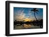 Tropical Morning-Jennifer Krajsek-Framed Photographic Print