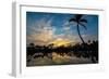 Tropical Morning-Jennifer Krajsek-Framed Photographic Print