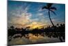 Tropical Morning-Jennifer Krajsek-Mounted Photographic Print