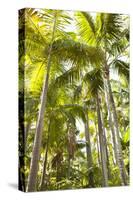 Tropical Oasis I-Karyn Millet-Stretched Canvas