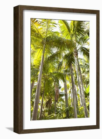 Tropical Oasis I-Karyn Millet-Framed Photographic Print