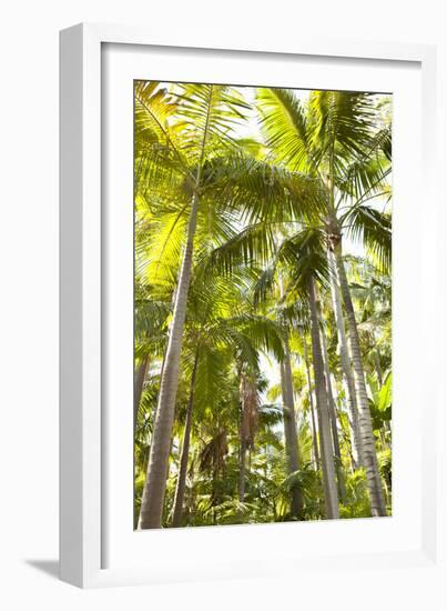 Tropical Oasis I-Karyn Millet-Framed Photographic Print