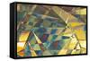 Tropical Odyssey-Doug Chinnery-Framed Stretched Canvas