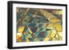 Tropical Odyssey-Doug Chinnery-Framed Giclee Print