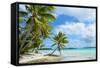 Tropical Palm Beach-pljvv-Framed Stretched Canvas