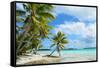 Tropical Palm Beach-pljvv-Framed Stretched Canvas
