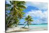 Tropical Palm Beach-pljvv-Stretched Canvas