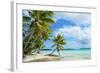 Tropical Palm Beach-pljvv-Framed Photographic Print