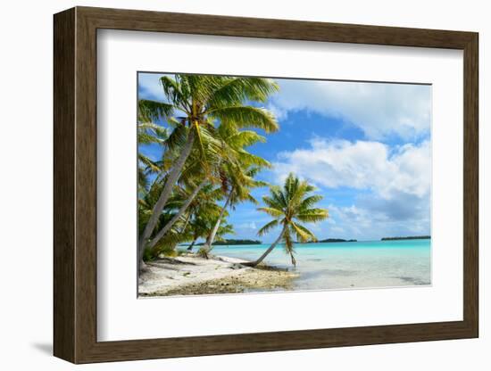 Tropical Palm Beach-pljvv-Framed Photographic Print