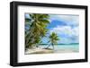 Tropical Palm Beach-pljvv-Framed Photographic Print