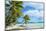 Tropical Palm Beach-pljvv-Mounted Photographic Print