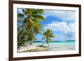 Tropical Palm Beach-pljvv-Framed Photographic Print