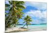 Tropical Palm Beach-pljvv-Mounted Photographic Print