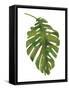 Tropical Palm I-Wild Apple Portfolio-Framed Stretched Canvas