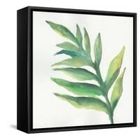 Tropical Palm I-Chris Paschke-Framed Stretched Canvas