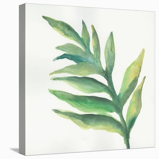 Tropical Palm I-Chris Paschke-Stretched Canvas