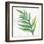 Tropical Palm I-Chris Paschke-Framed Art Print