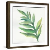 Tropical Palm I-Chris Paschke-Framed Art Print