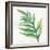 Tropical Palm I-Chris Paschke-Framed Art Print