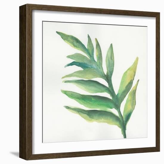 Tropical Palm I-Chris Paschke-Framed Art Print