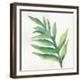 Tropical Palm I-Chris Paschke-Framed Art Print