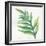 Tropical Palm I-Chris Paschke-Framed Art Print