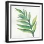 Tropical Palm I-Chris Paschke-Framed Art Print