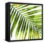 Tropical Palm I-Melonie Miller-Framed Stretched Canvas