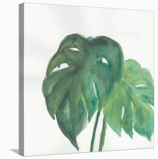 Tropical Palm II-Chris Paschke-Stretched Canvas