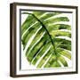 Tropical Palm II-Melonie Miller-Framed Art Print