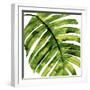 Tropical Palm II-Melonie Miller-Framed Art Print