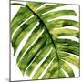 Tropical Palm II-Melonie Miller-Mounted Art Print