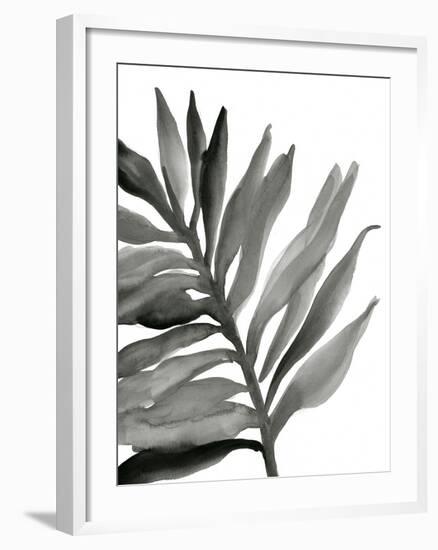 Tropical Palm III BW-Chris Paschke-Framed Art Print