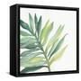 Tropical Palm III-Chris Paschke-Framed Stretched Canvas