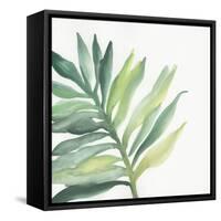 Tropical Palm III-Chris Paschke-Framed Stretched Canvas