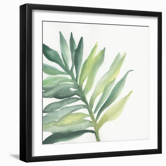 Tropical Palm III-Chris Paschke-Framed Art Print