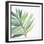 Tropical Palm III-Chris Paschke-Framed Art Print