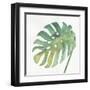 Tropical Palm IV-Chris Paschke-Framed Art Print