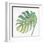 Tropical Palm IV-Chris Paschke-Framed Art Print