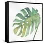 Tropical Palm IV-Chris Paschke-Framed Stretched Canvas