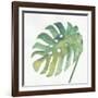 Tropical Palm IV-Chris Paschke-Framed Art Print